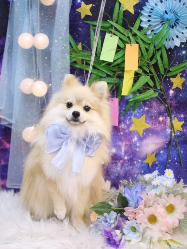 20250712なちゅくん